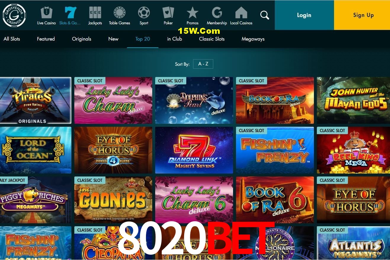 Experiência VIP 8020Bet