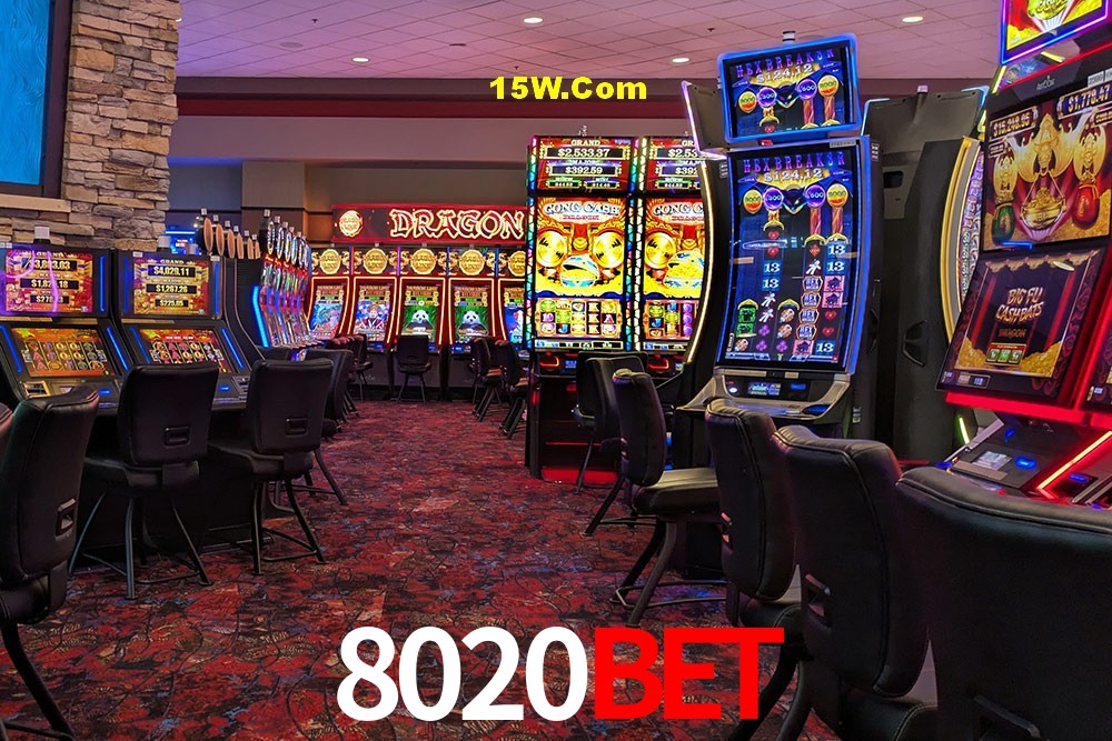 Statistics 8020Bet